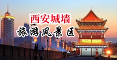 啊啊插进去性爱在线观看中国陕西-西安城墙旅游风景区